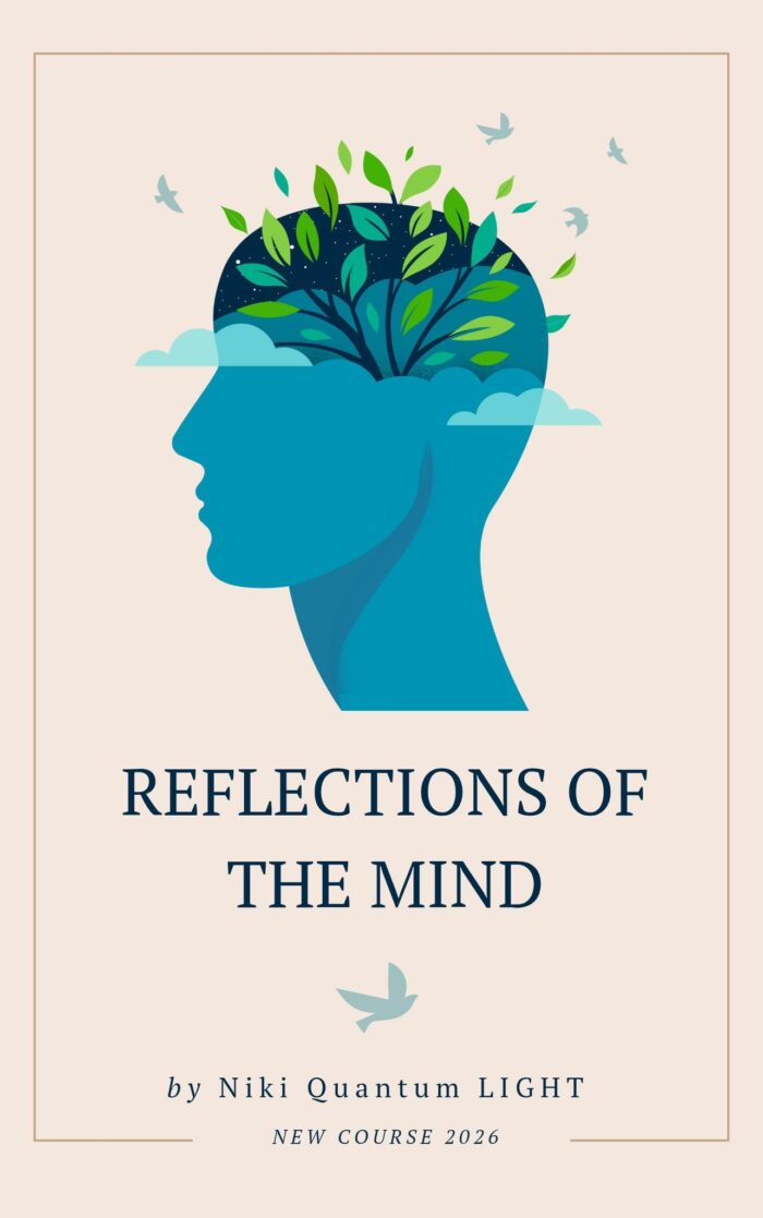 Quantum LIGHT School – Independence Partnership Unlimited - Image 13