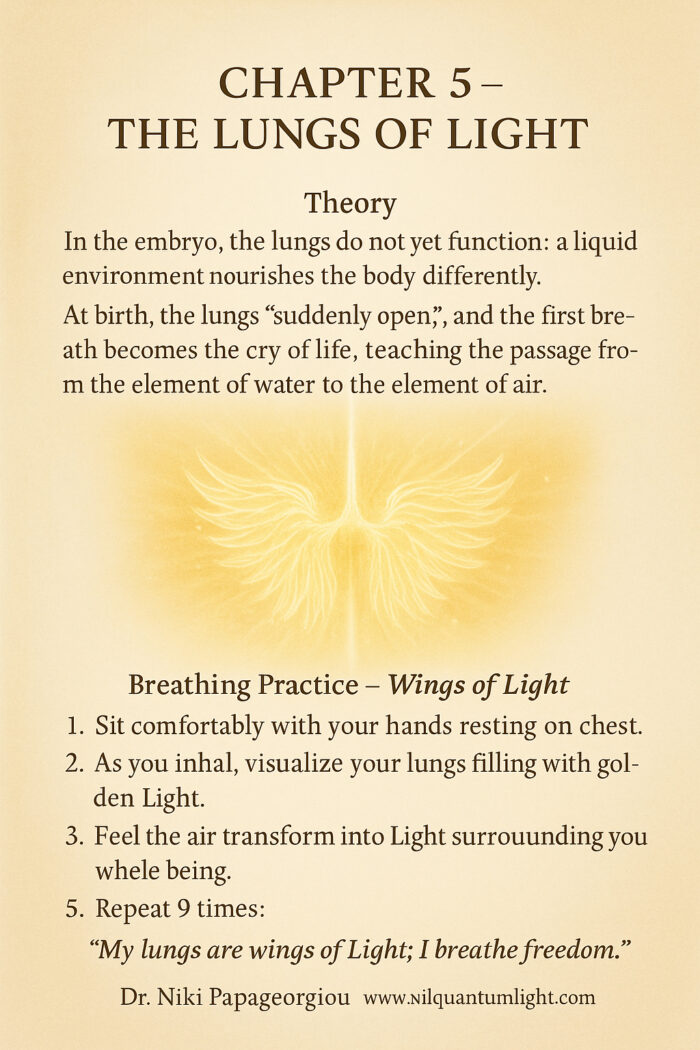 Embryo – The Spiral of Creation - Image 3